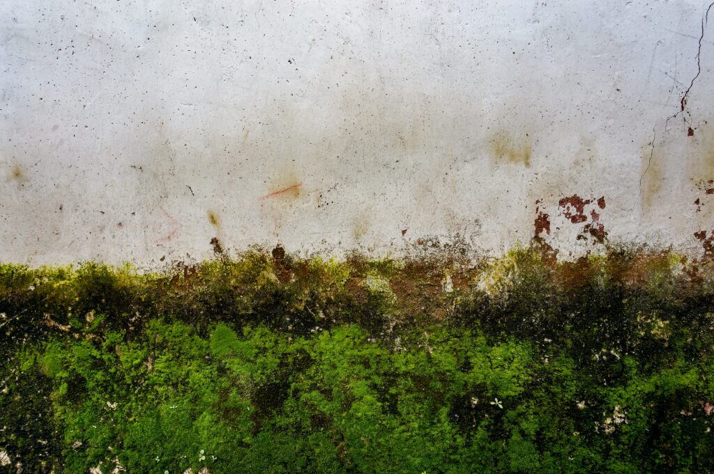 Will Home Insurance Cover Water Damage?